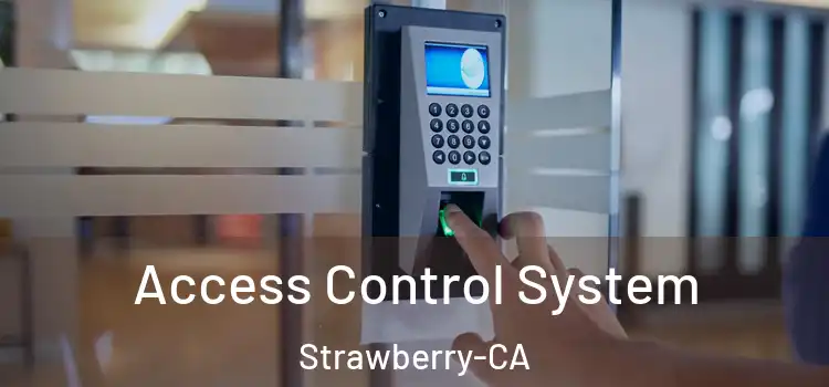  Access Control System Strawberry-CA