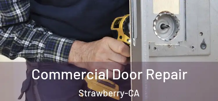 Commercial Door Repair Strawberry-CA