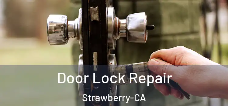  Door Lock Repair Strawberry-CA