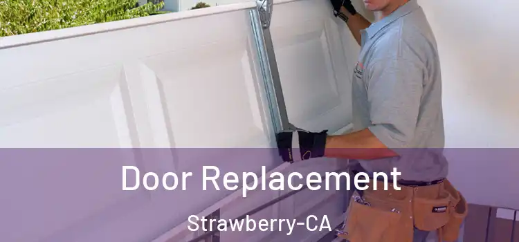  Door Replacement Strawberry-CA