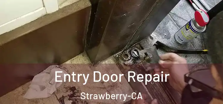  Entry Door Repair Strawberry-CA