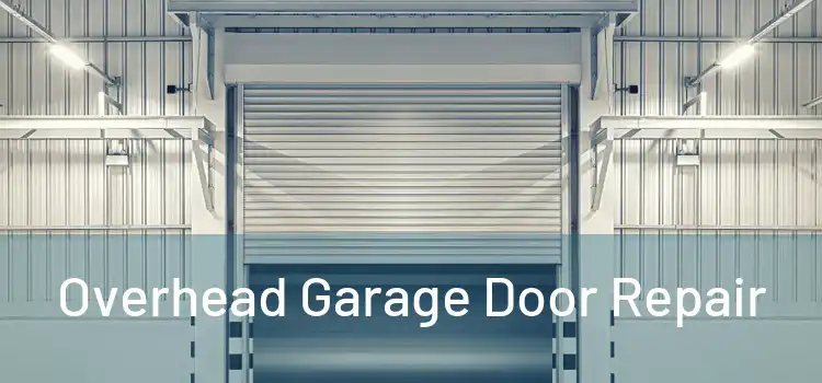  Overhead Garage Door Repair 
