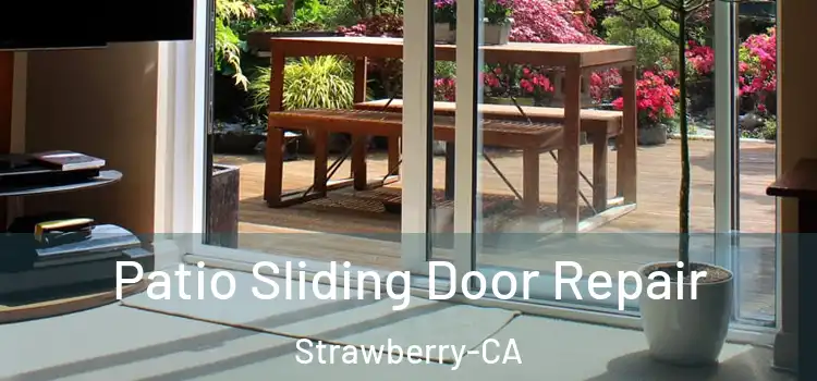 Patio Sliding Door Repair Strawberry-CA