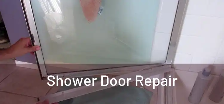  Shower Door Repair 